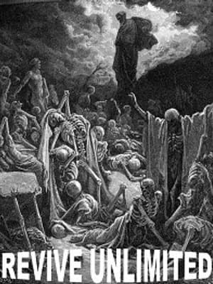 Cover of Revive Unlimited: War of the Paladins