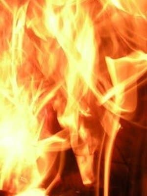 Cover of The New Journey of an Old Soul