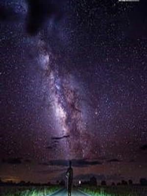 Cover of LMF = Legendary Midnight Farmer