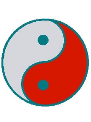 Cover of The soul will tell