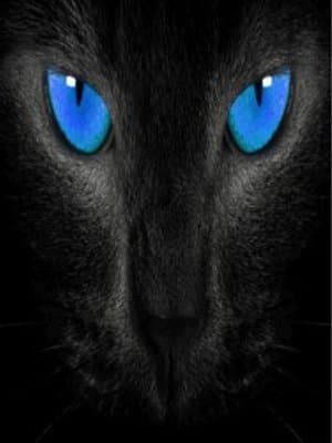 Cover of Artemis The Celestial Beast(Hiatus)