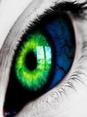 Cover of The Shadows Orphan