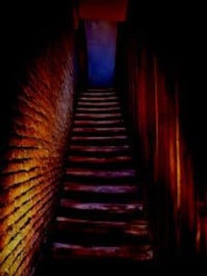 Cover of Misfortune Night House