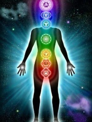 Cover of The Principles of Magic