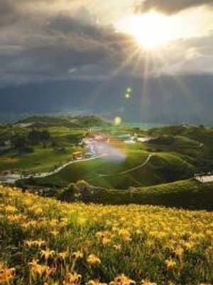 Cover of Elm's Horizon