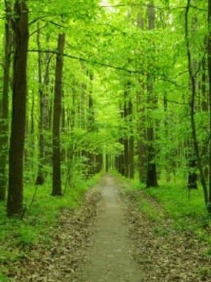 Cover of Gaia Campaigner