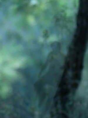 Cover of Just An Outlier