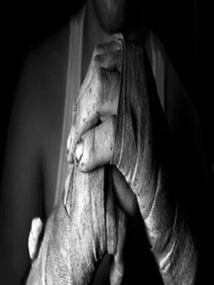 Cover of Battle Royale.