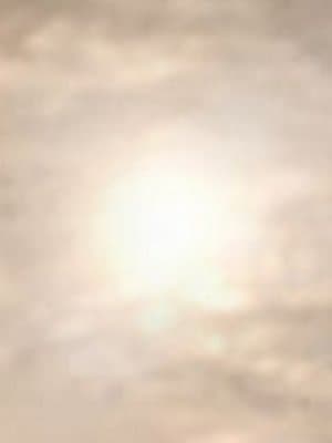 Cover of The legend of Aila (dropped fiction)