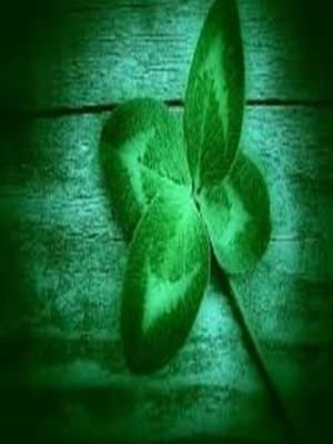 Cover of Best of Luck