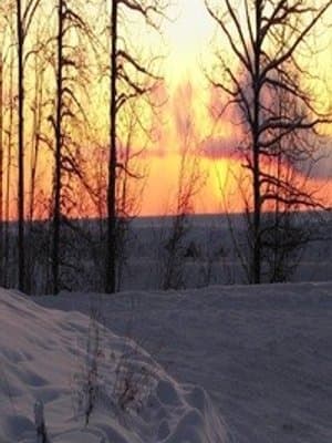 Cover of Burning Winter