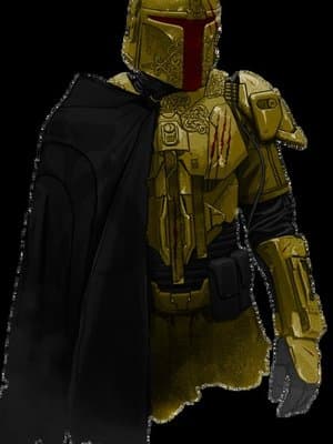 Cover of Intransigent (SW Skywalker SI)