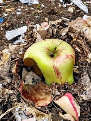 Cover of The Discarded, Half-Eaten Apple Core New Life. An OP Dungeon Post-Apocalyptic LitRPG.