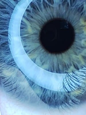 Cover of Just Mostly Psychopaths [Fighting Fascism With Mental Illness]