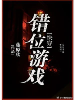 Cover of Misplacement Game