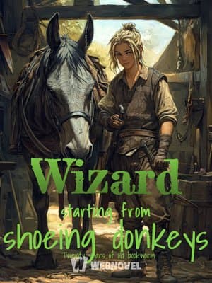 Cover of Wizard starting from shoeing donkeys