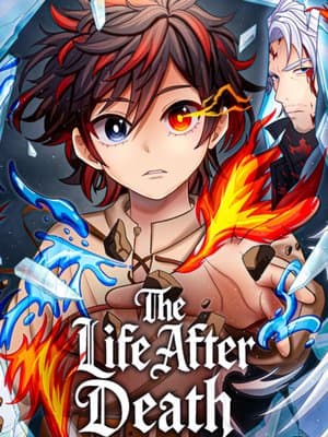 Cover of The Life After Death