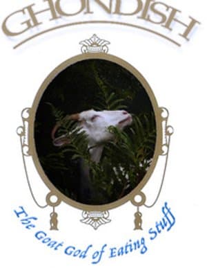 Cover of The not-immortal Blacksmith