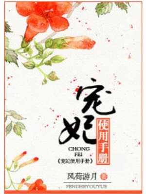 Cover of Chongfei Manual