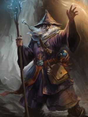 Cover of Harry Potter: Dimensional Wizard